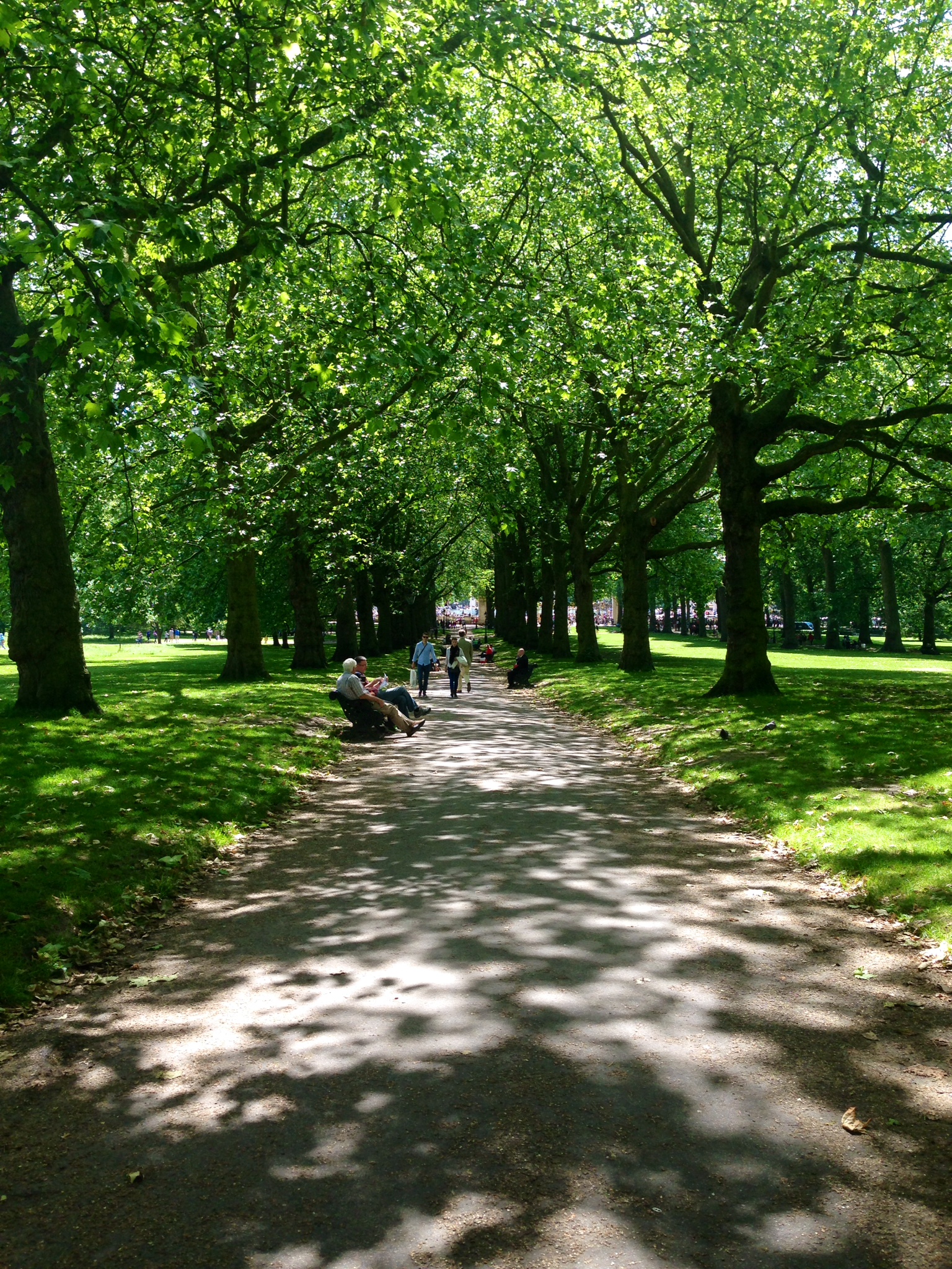 Green Park living up to its name